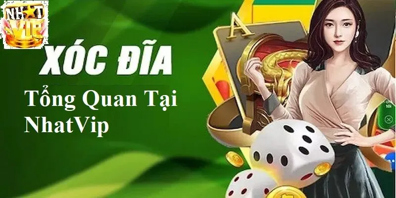 tong quan ve xoc dia tai nhatvip Tổng quan về Xóc Đĩa tại NhatVip